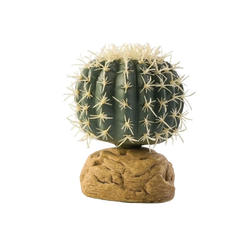 Exo Terra Barrel Cactus Small