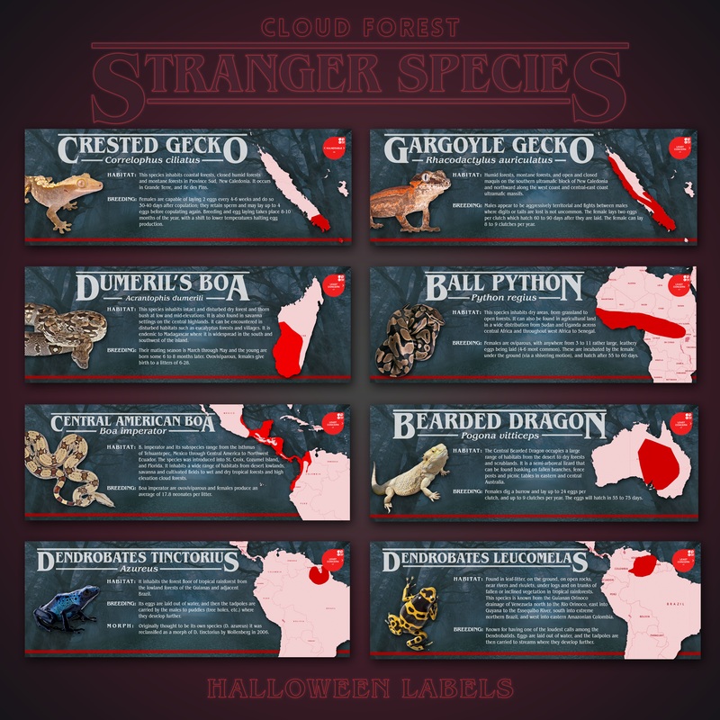 Stranger Species Special Edition Halloween Vivarium Label African Fat-Tailed Gecko