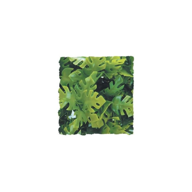 Zoo Med Amazonian Phyllo Small