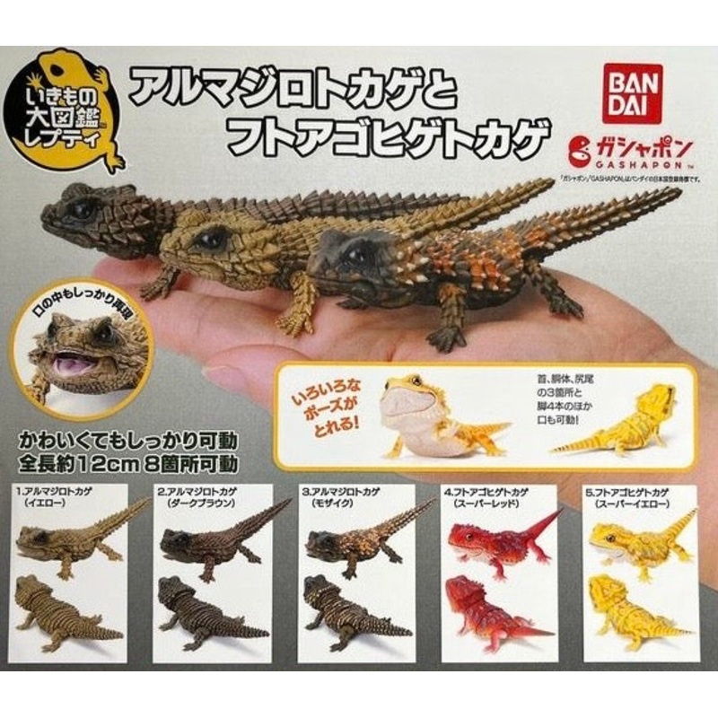 (Bandai Gashapon) Armadillo Lizard/Bearded Dragon – Random Signal Type (5 types in total) 1 at ramdom