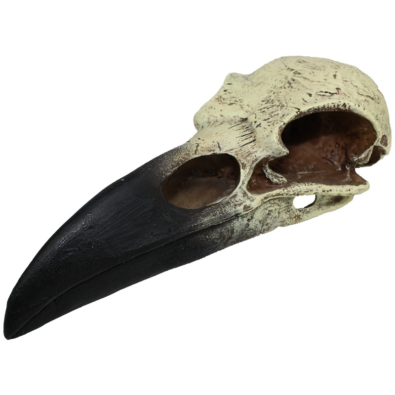 Komodo Raven Skull Medium