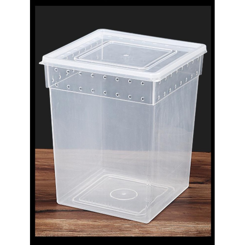 Reptile Stackable Box (Stand-Up) 20 X 20 X 25(H)cm
