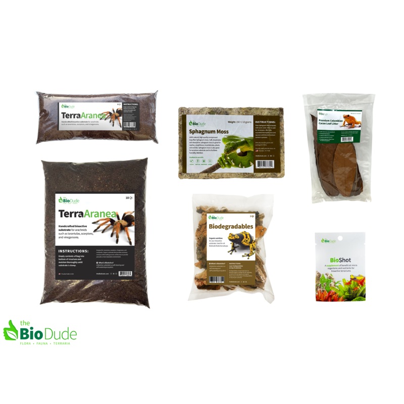 Terra Aranea Bioactive Kit 20 gallon long