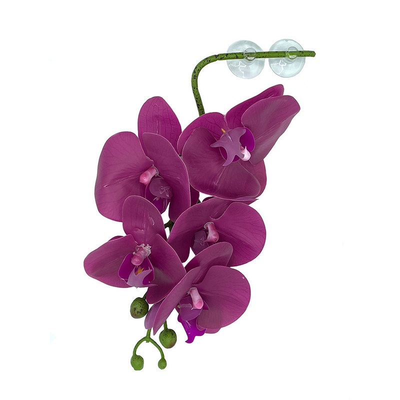 Pangea Hanging Orchids – Purple