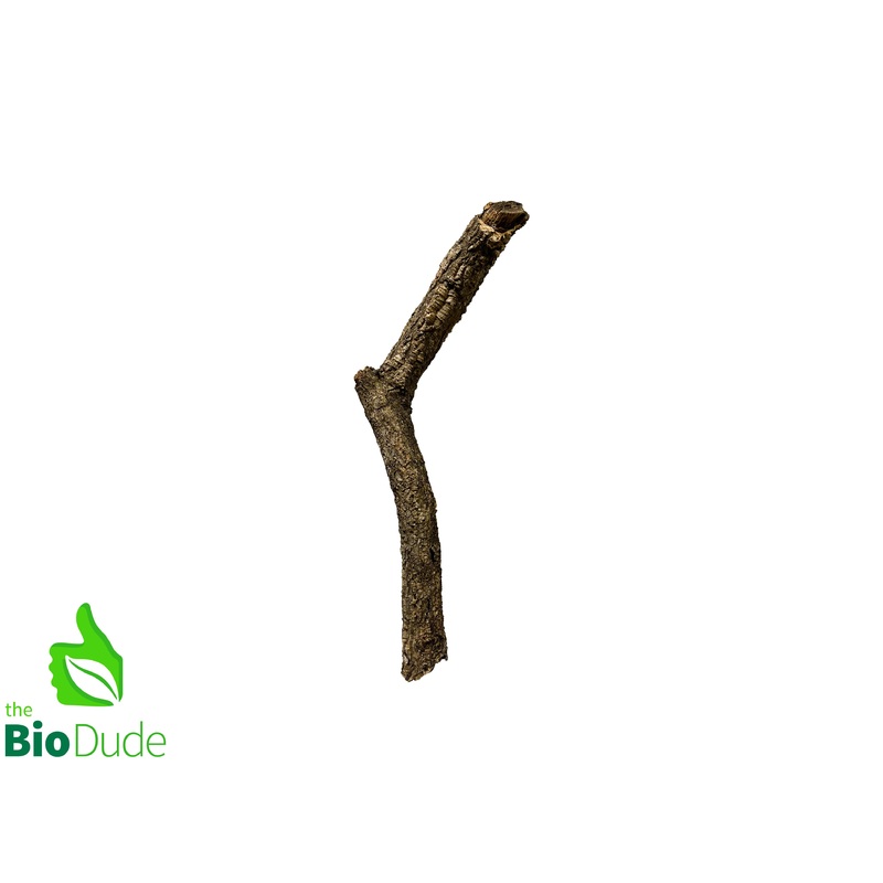 Cork Bark Branch 10″-14″