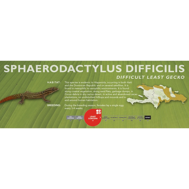 Difficult Least Gecko (Sphaerodactylus difficilis) Classic Vivarium Label