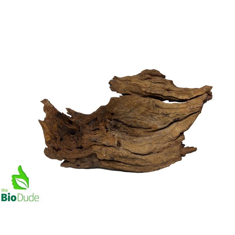 Malaysian Driftwood 6″ – 10″ Small