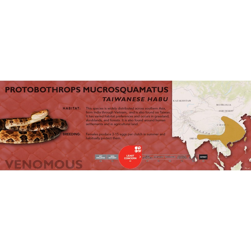 Taiwanese Habu (Protobothrops mucrosquamatus) Classic Vivarium Label Original