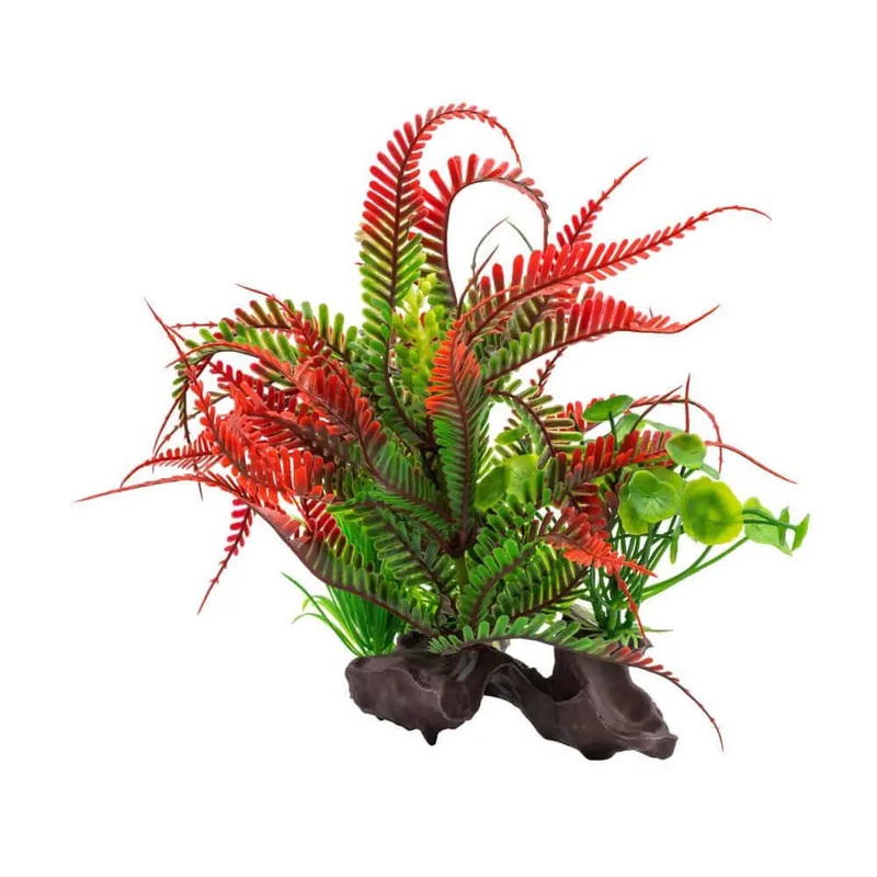AquaSpectra Fern on Log Red 18cm Red