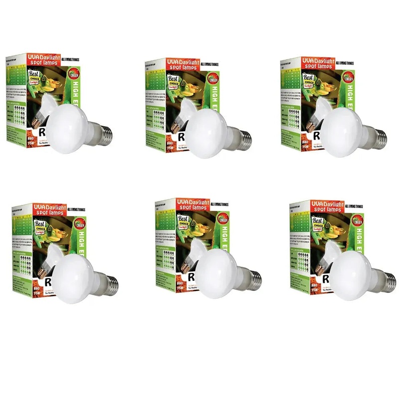 Reptile Day White Basking Spot Lamp 75w x 6