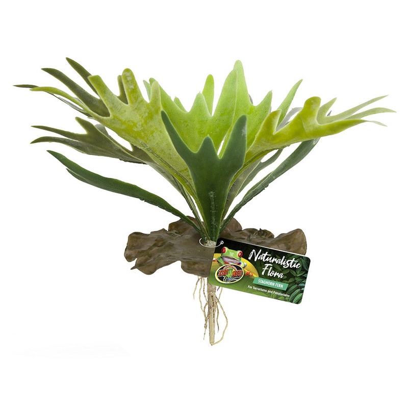 ZM Naturalistic Flora Staghorn Fern BU-65