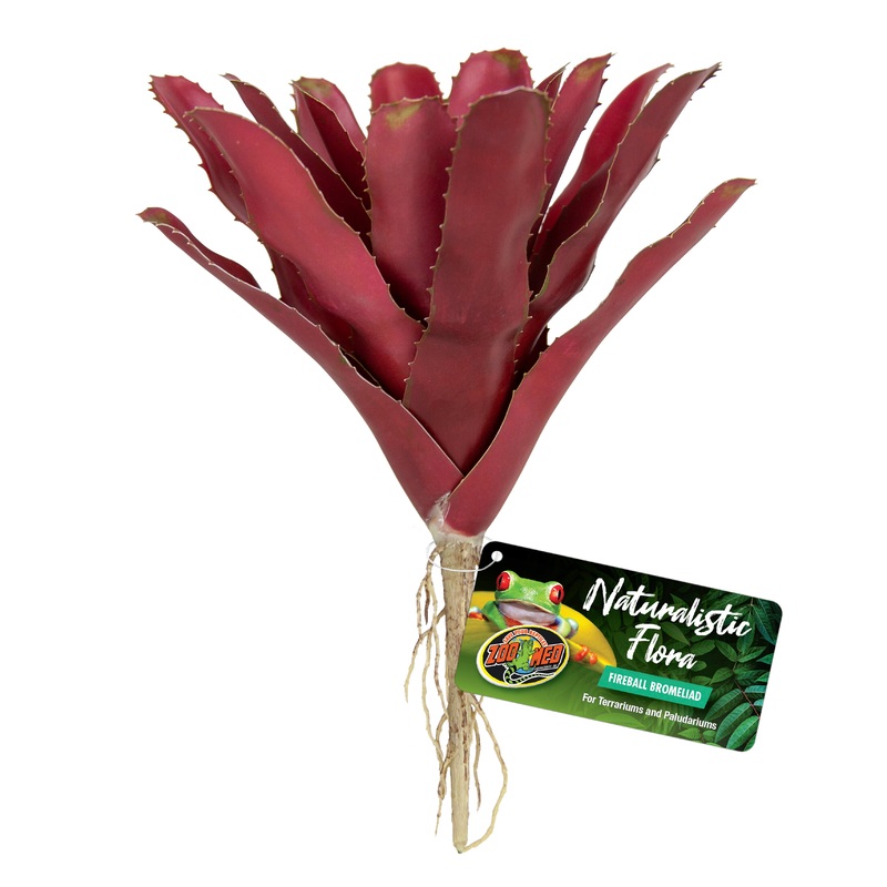 Zoo Med Naturalistic Flora  Fireball Bromeliad