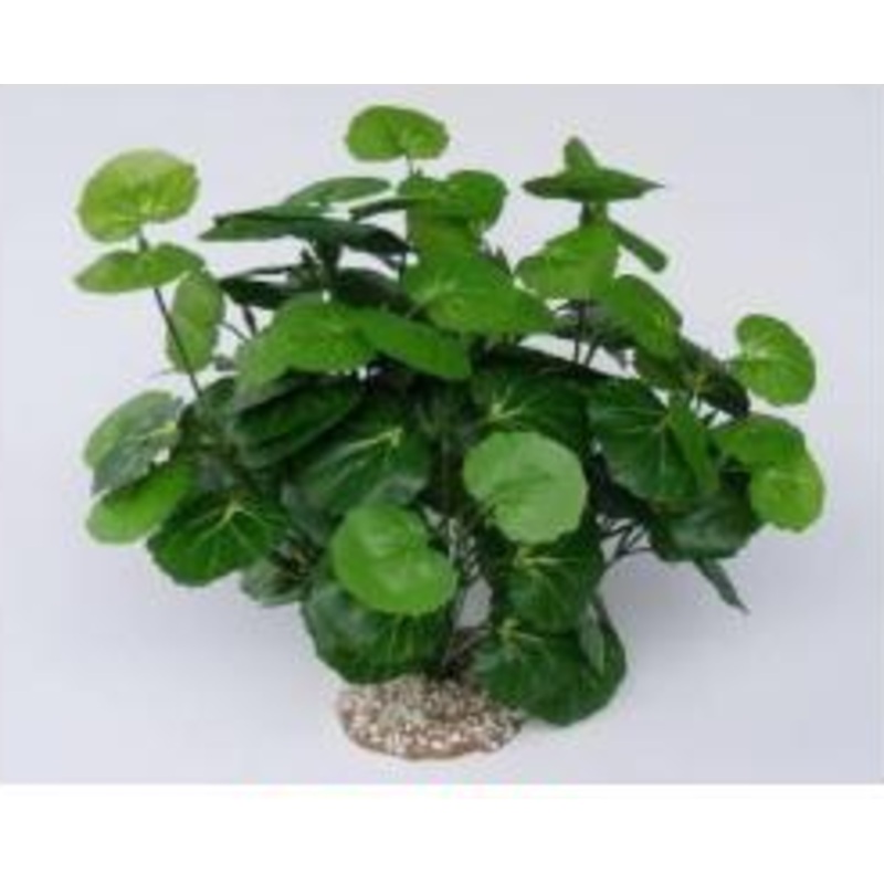 Aquaglobe Silk Malus 14″ (Special Order Product)