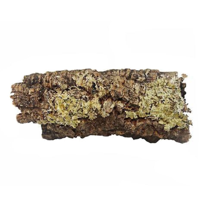 Pangea Cork Bark Rounds Extra Small 1-2″ Diameter, 2-4″ Long