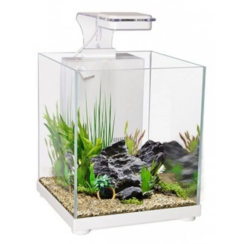 Aqua One Betta Fighter Fish Sanctuary White