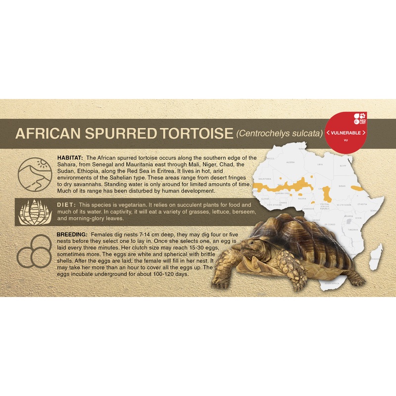 African Spurred Tortoise (Centrochelys sulcata) – Aluminum Sign No SmartShield