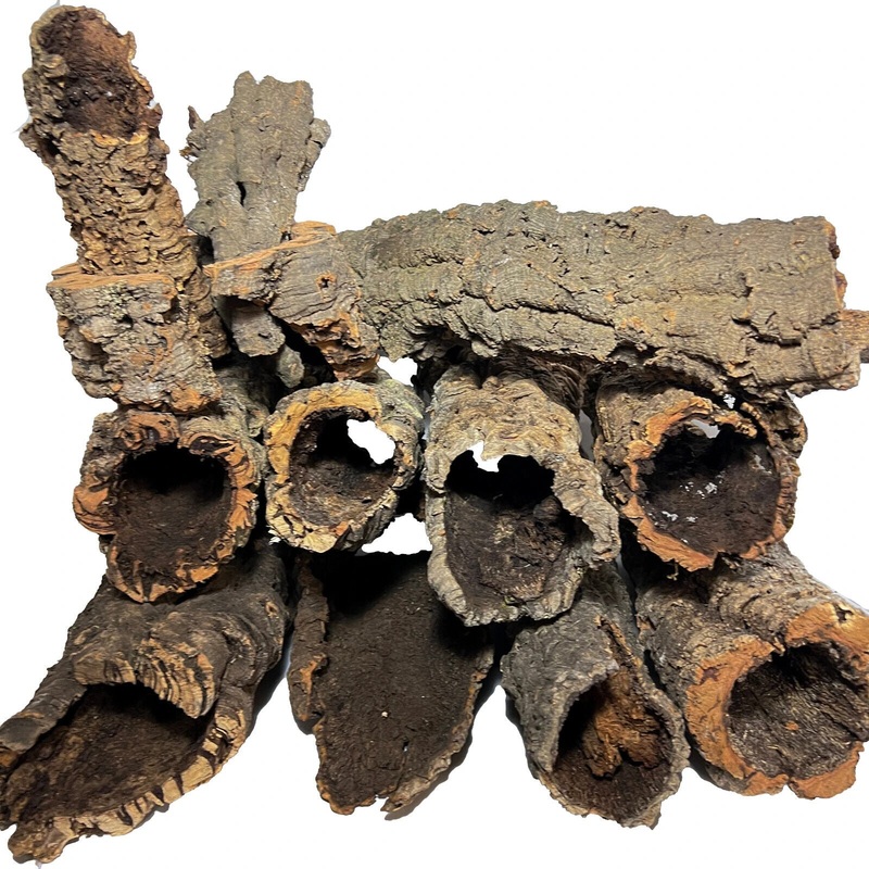 Bulk Cork Bark Rounds 5 lbs – $19.99/lb