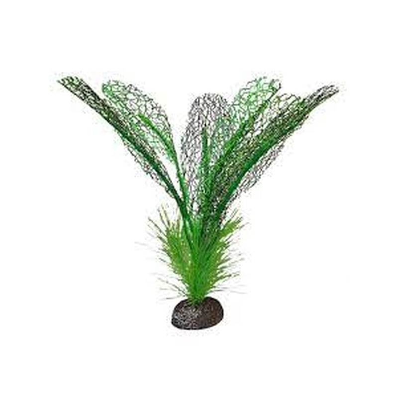 Fluval Betta Premium Plants, Madagascar Lace Plant