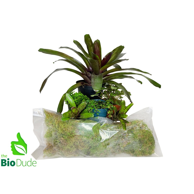 Poison Dart Frog Plant Pack V2
