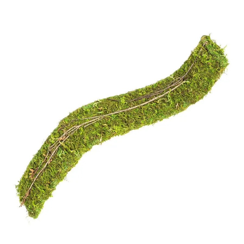 ReptiZoo Natural Moss Flex Bridge Small 51×7.5x2cm