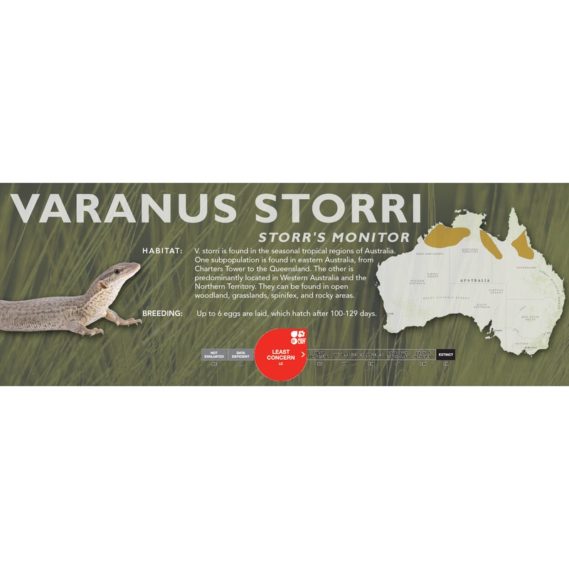 Storr’s Monitor (Varanus storri) Classic Vivarium Label