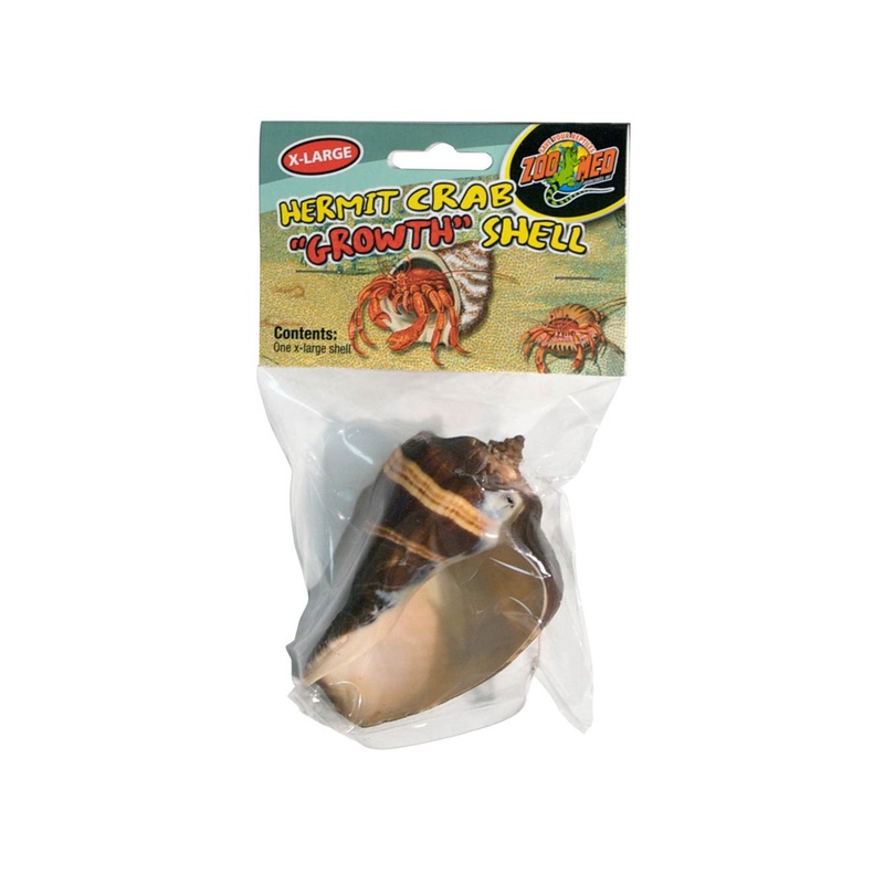 Zoo Med Hermit Crab Growth Shell Assorted, 1ea/XL, 1 pk