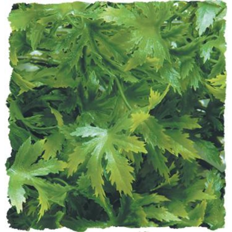 Zoo Med Naturalistic Flora – Cannabis Small (10″ long)