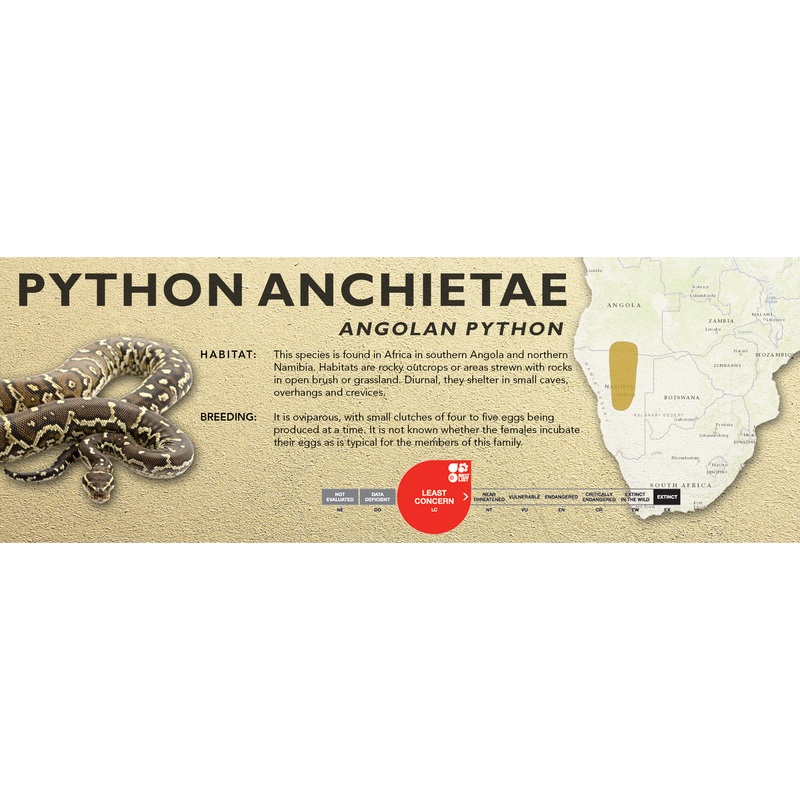 Angolan Python (Python anchietae) Classic Vivarium Label