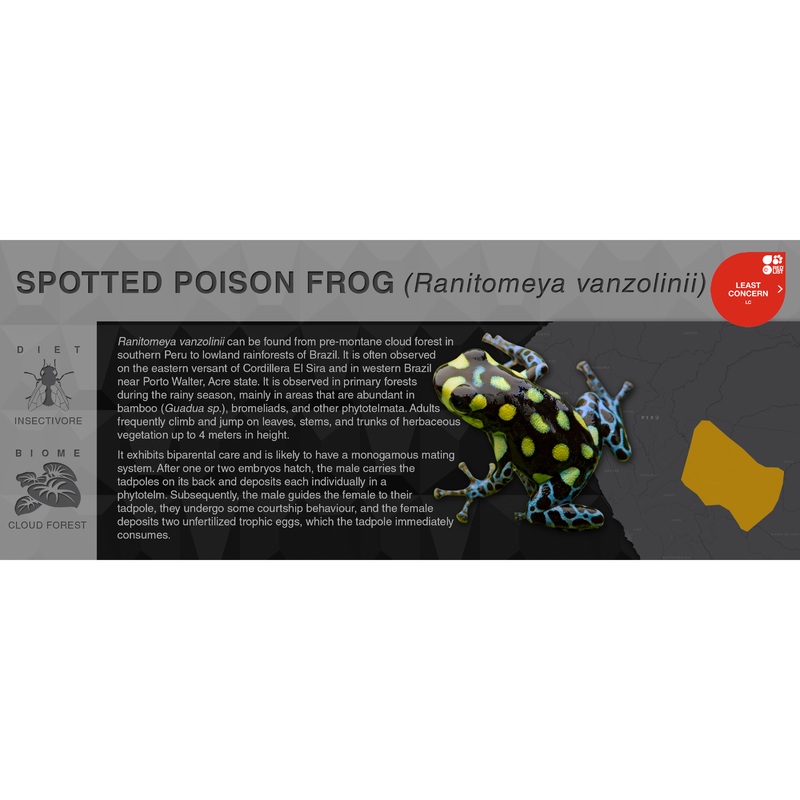 Ranitomeya vanzolinii – Black Series Vivarium Label Black