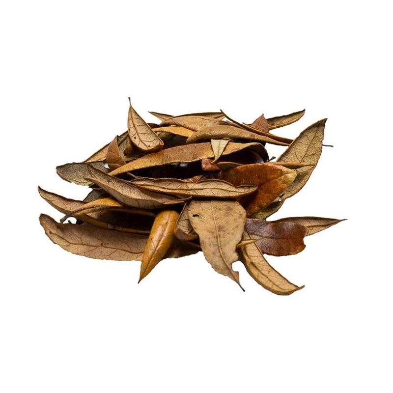 Live Oak Leaf Litter Small (1 Quart)