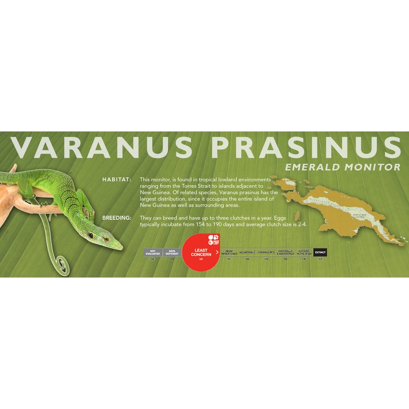 Emerald Monitor (Varanus prasinus) Classic Vivarium Label