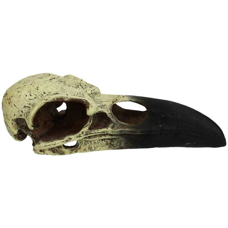 Komodo Raven Skull Hideout Medium 6in