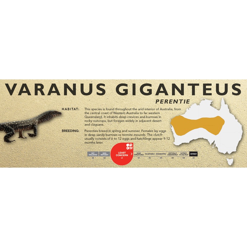 Perentie (Varanus giganteus) Classic Vivarium Label