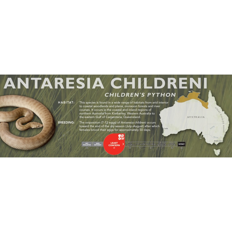 Children’s Python (Antaresia childreni) Classic Vivarium Label