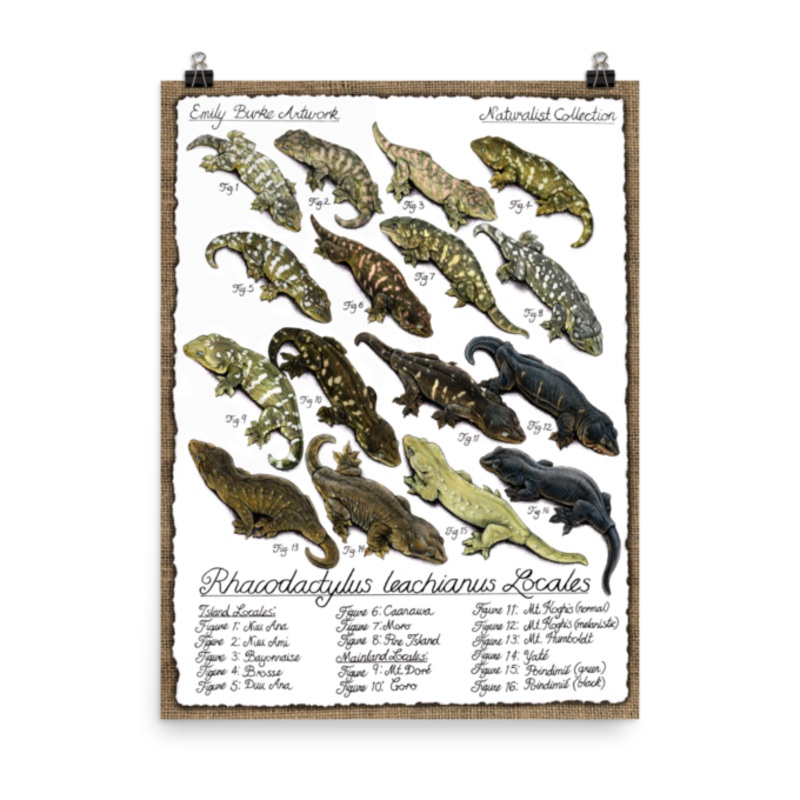 Leachianus Locales Print – Emily Burke