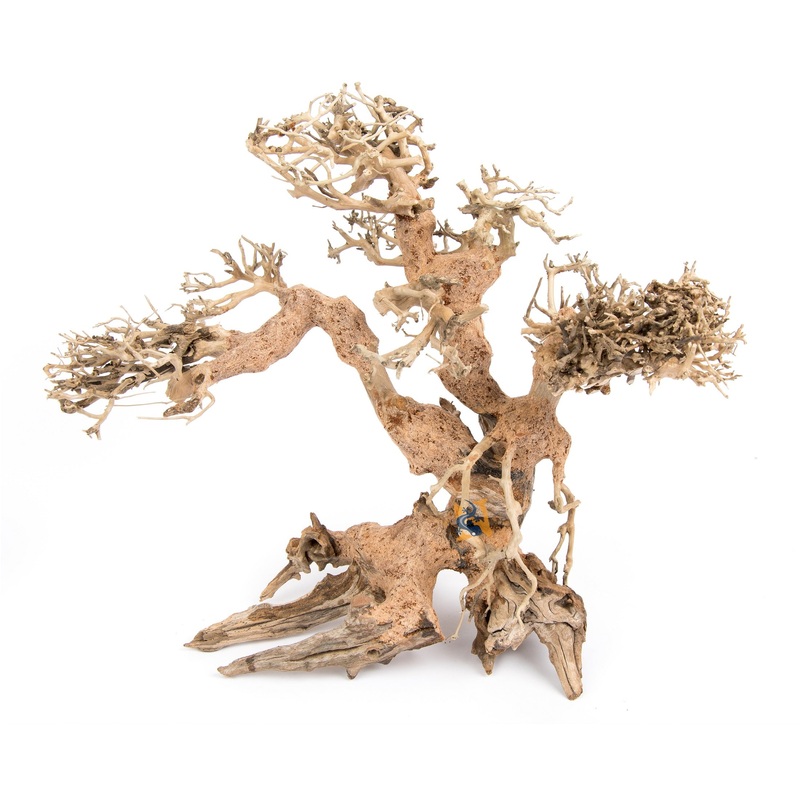 Aquaglobe Dragonwood