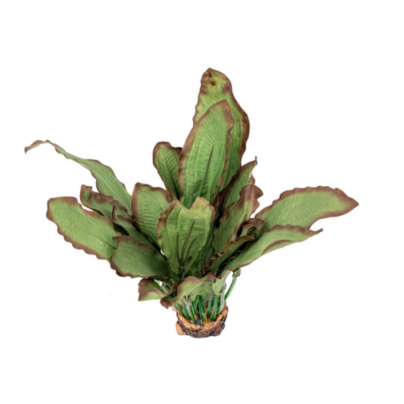 Aquaglobe Silk Ruba 12″ (Special Order Product)