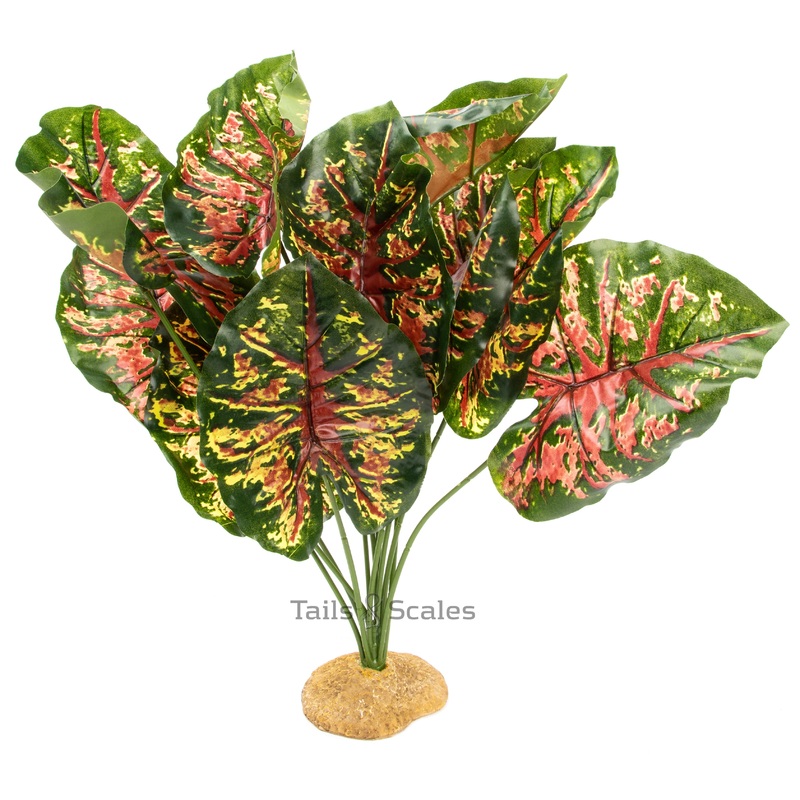 Aquaglobe Silk Red Casia 19″