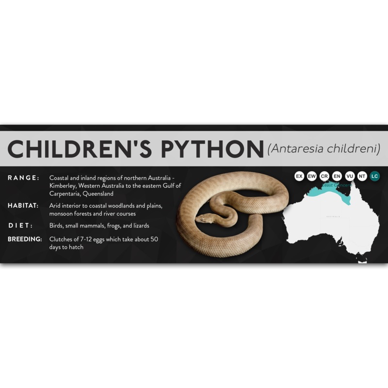 Children’s Python (Antaresia childreni) – X Label Laminated Paper