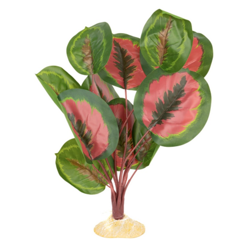 Aquaglobe Silk Red Calathea W/ Red Stem 20″