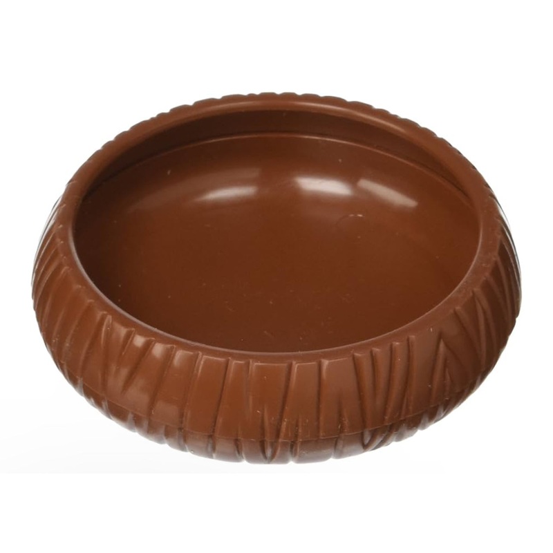 Mealworm Dish