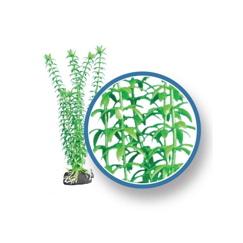 Weco Products Freshwater Pro Series Tonina Aquarium Plant Green, 1ea/9 in
