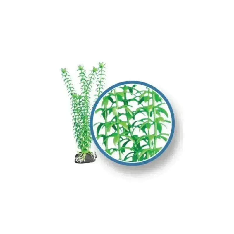 Weco Wonder Plant Freshwater Pro, Tonina 9″
