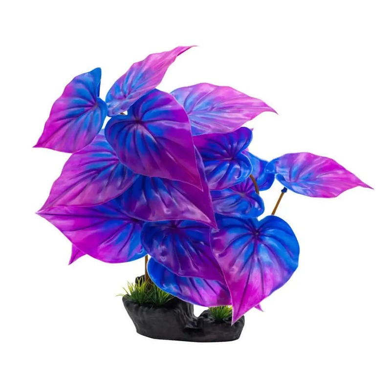 AquaSpectra Phylodendron Plant 40cm Blue