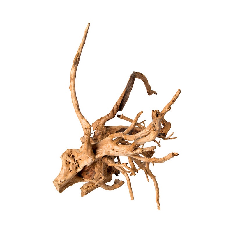 Galapagos Spider Wood 12-24 Small 5-11″