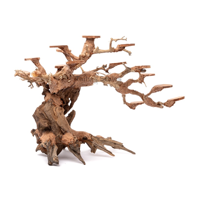 Aquaglobe Rainforest Wood