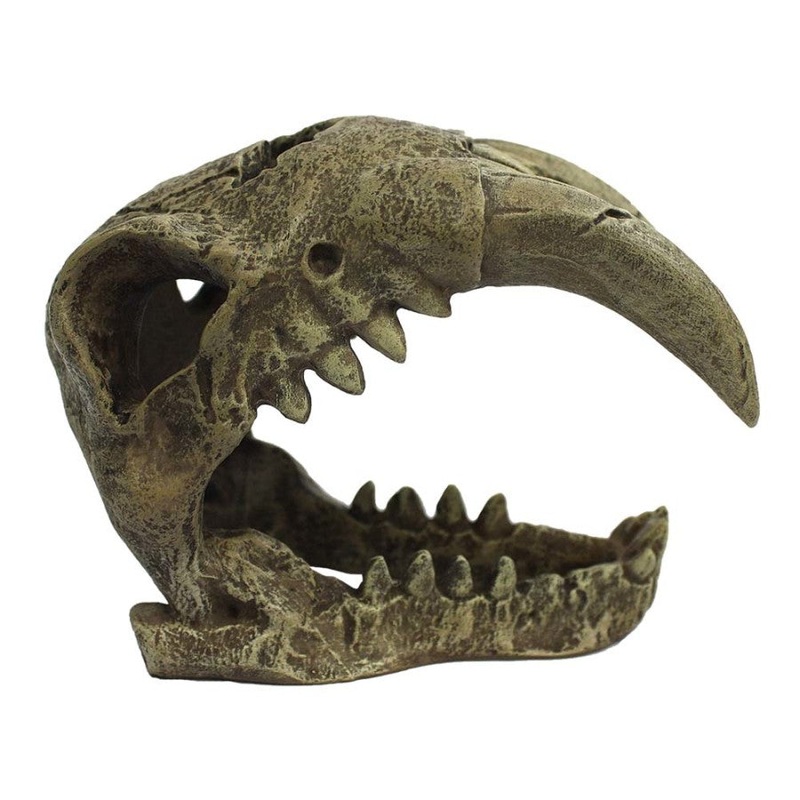 Komodo Saber tooth Reptile Hideout