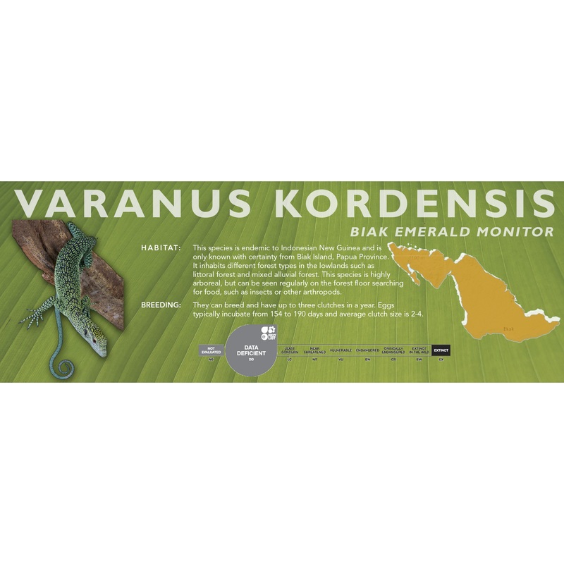 Biak Emerald Monitor (Varanus kordensis) Classic Vivarium Label