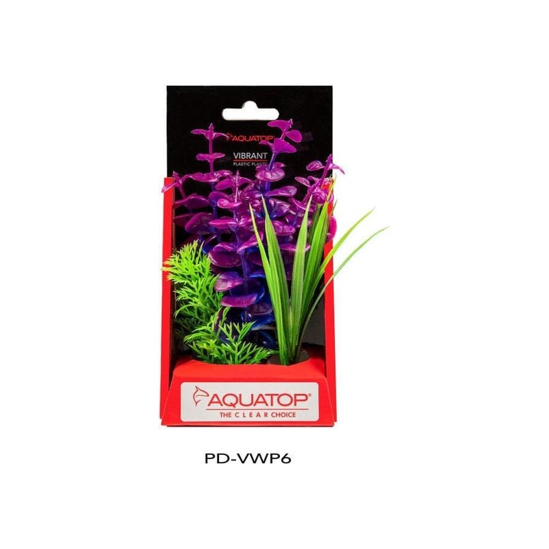 Aquatop Vibrant Wild Plant Purpleberry, 1ea/6 in