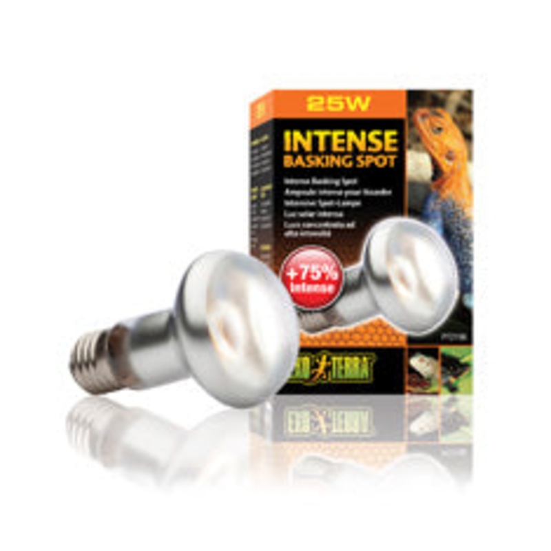 Exo Terra Intense Basking Spot Bulb 25 watt
